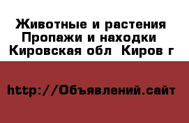 Животные и растения Пропажи и находки. Кировская обл.,Киров г.